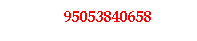 Casella di testo:              95053840658