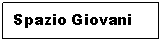 Casella di testo: Spazio Giovani